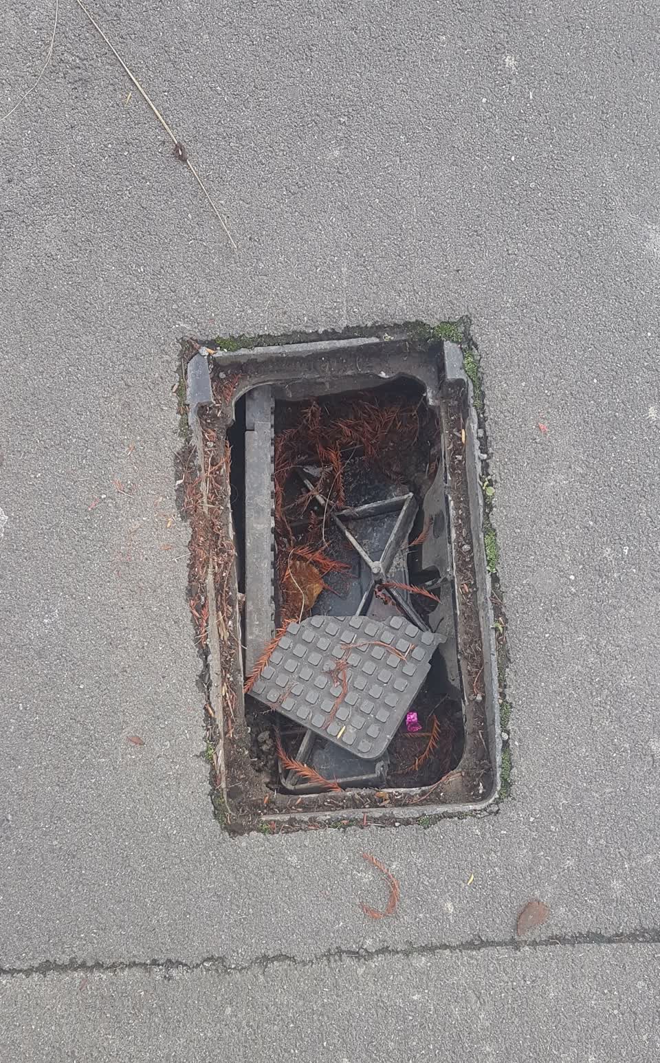 The photograph attached to this wastewater/stormwater report