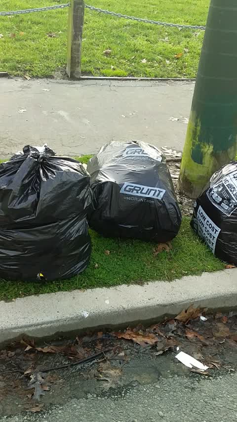 Rubbish/Recycling, a report photo