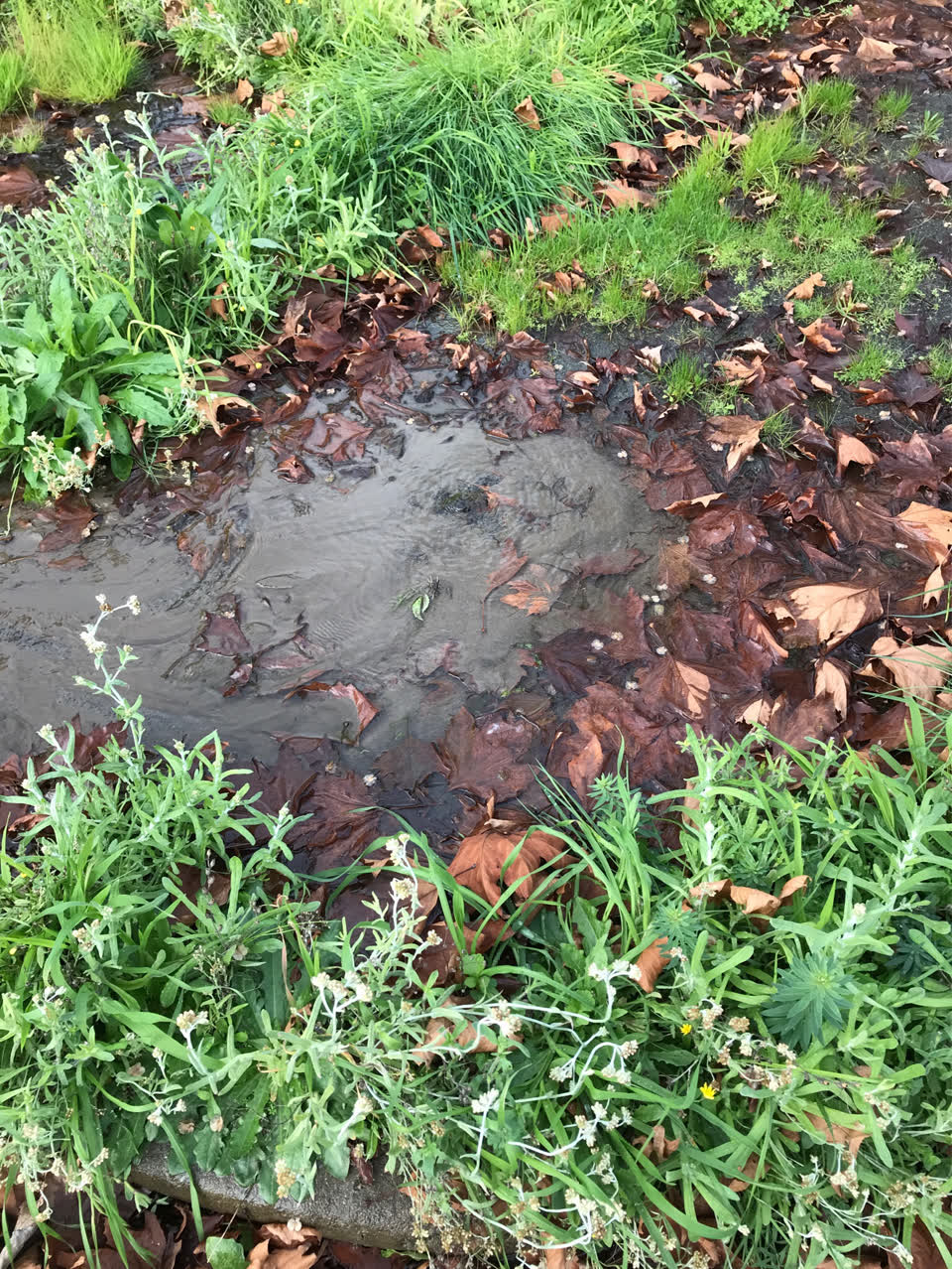 The photograph attached to this water supply report