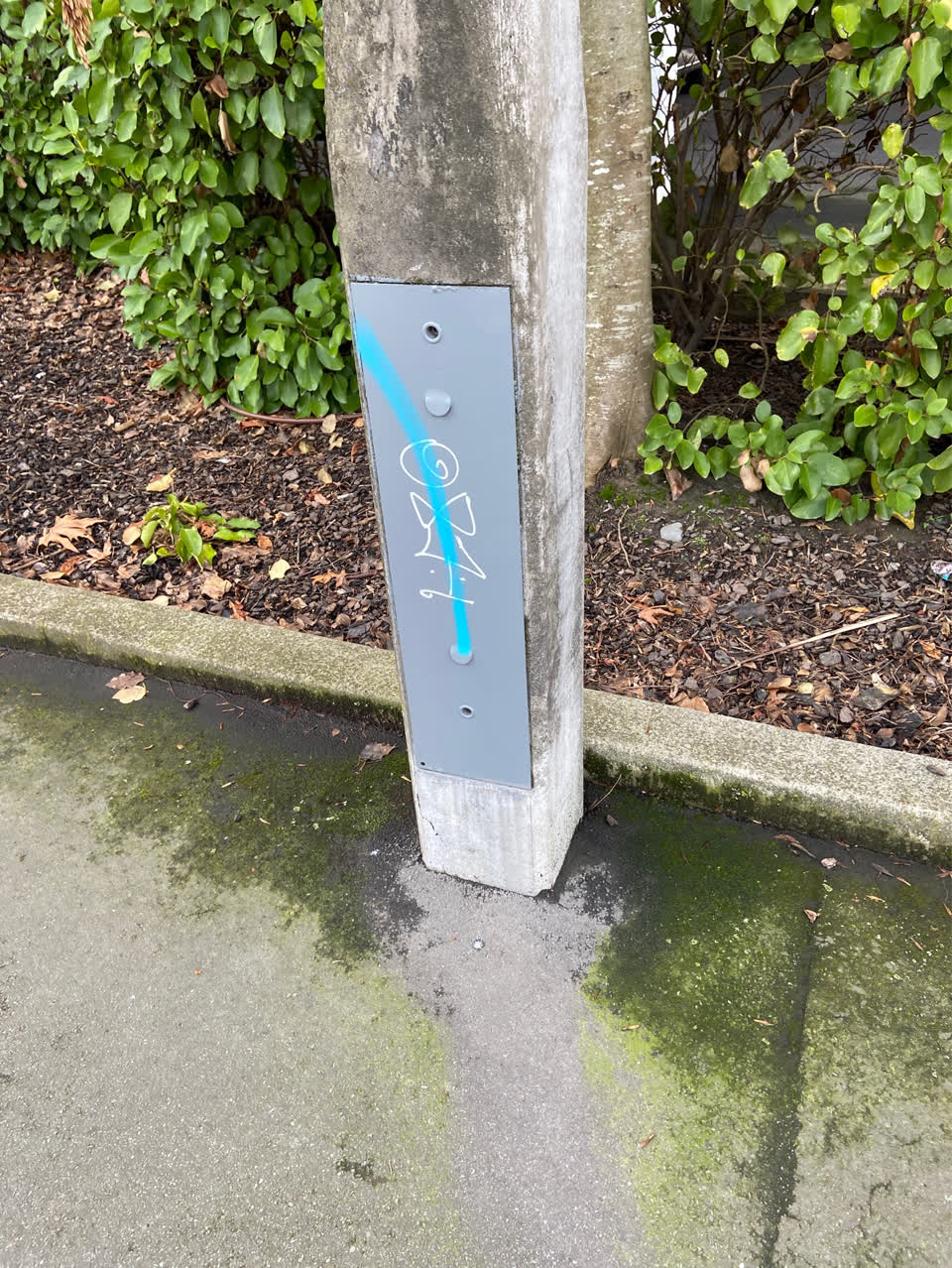 The photograph attached to this graffiti report
