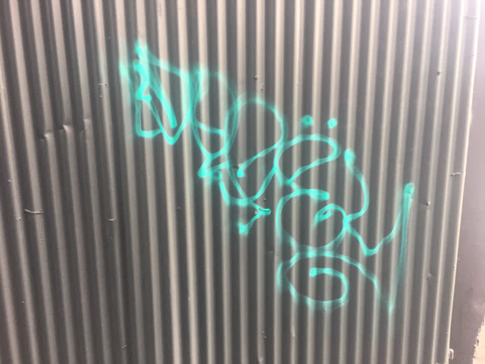 The photograph attached to this graffiti report