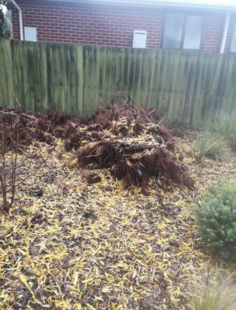 Rubbish/Recycling, a report photo