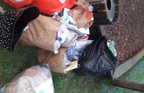 Parks, a report photo
