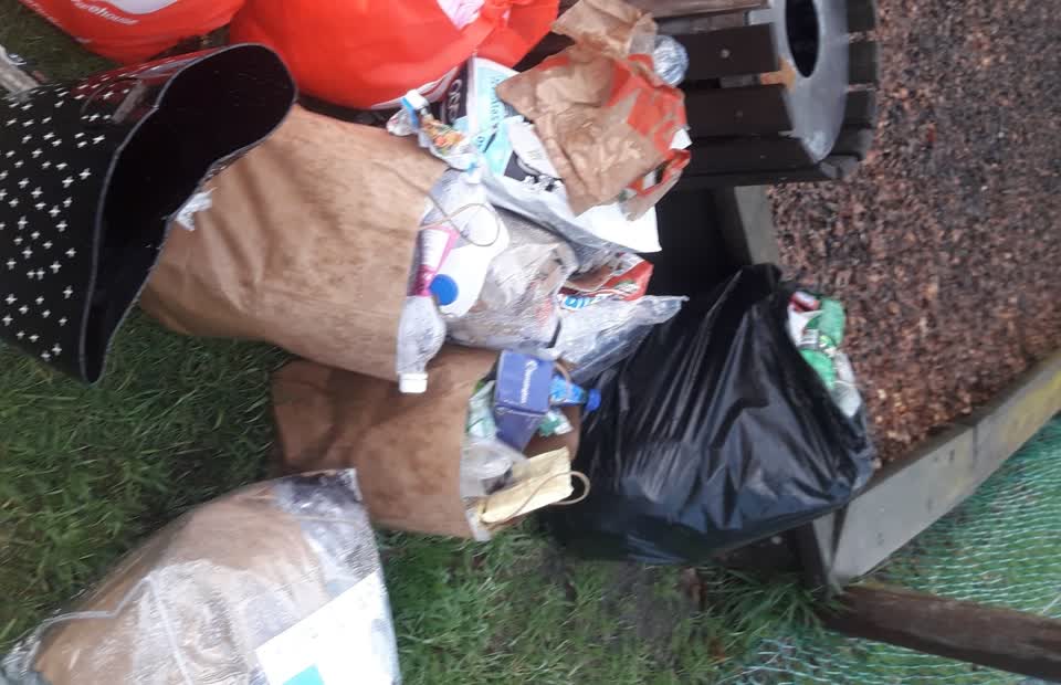 The photograph attached to this parks report