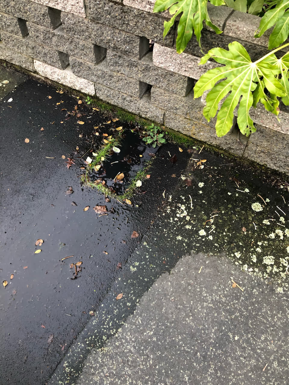 The photograph attached to this water supply report