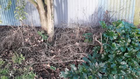 Parks, a report photo