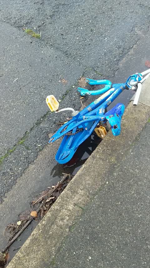 Rubbish/Recycling, a report photo
