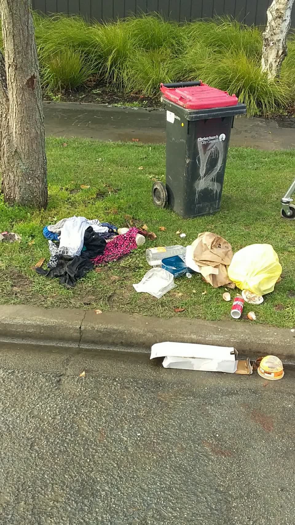 The photograph attached to this rubbish/recycling report