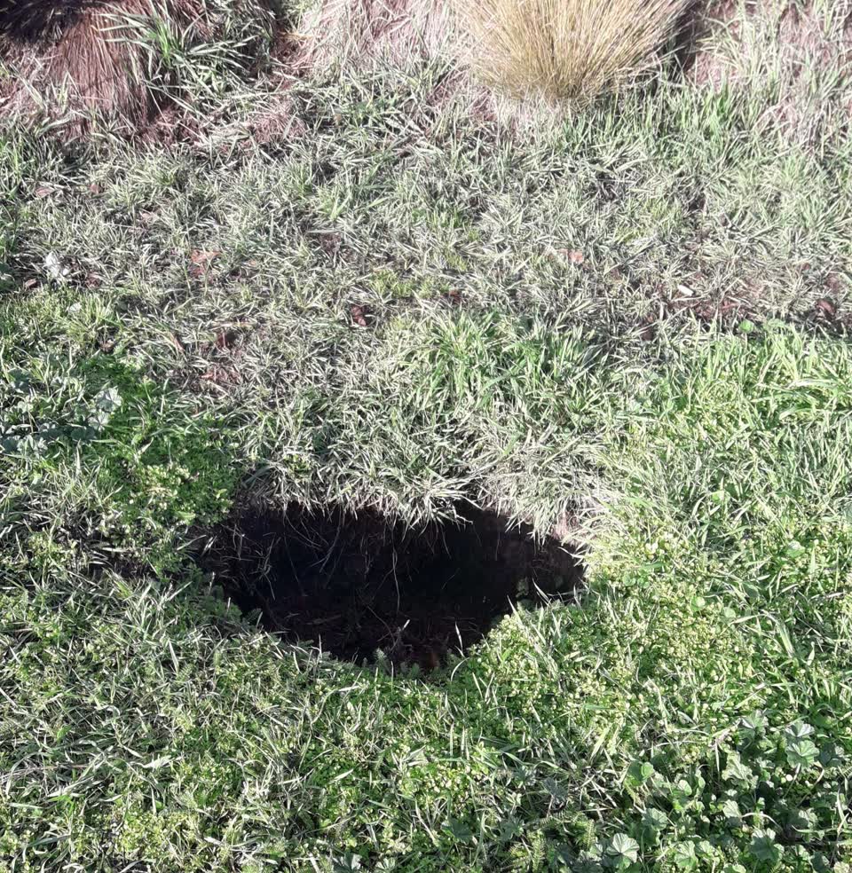The photograph attached to this parks report