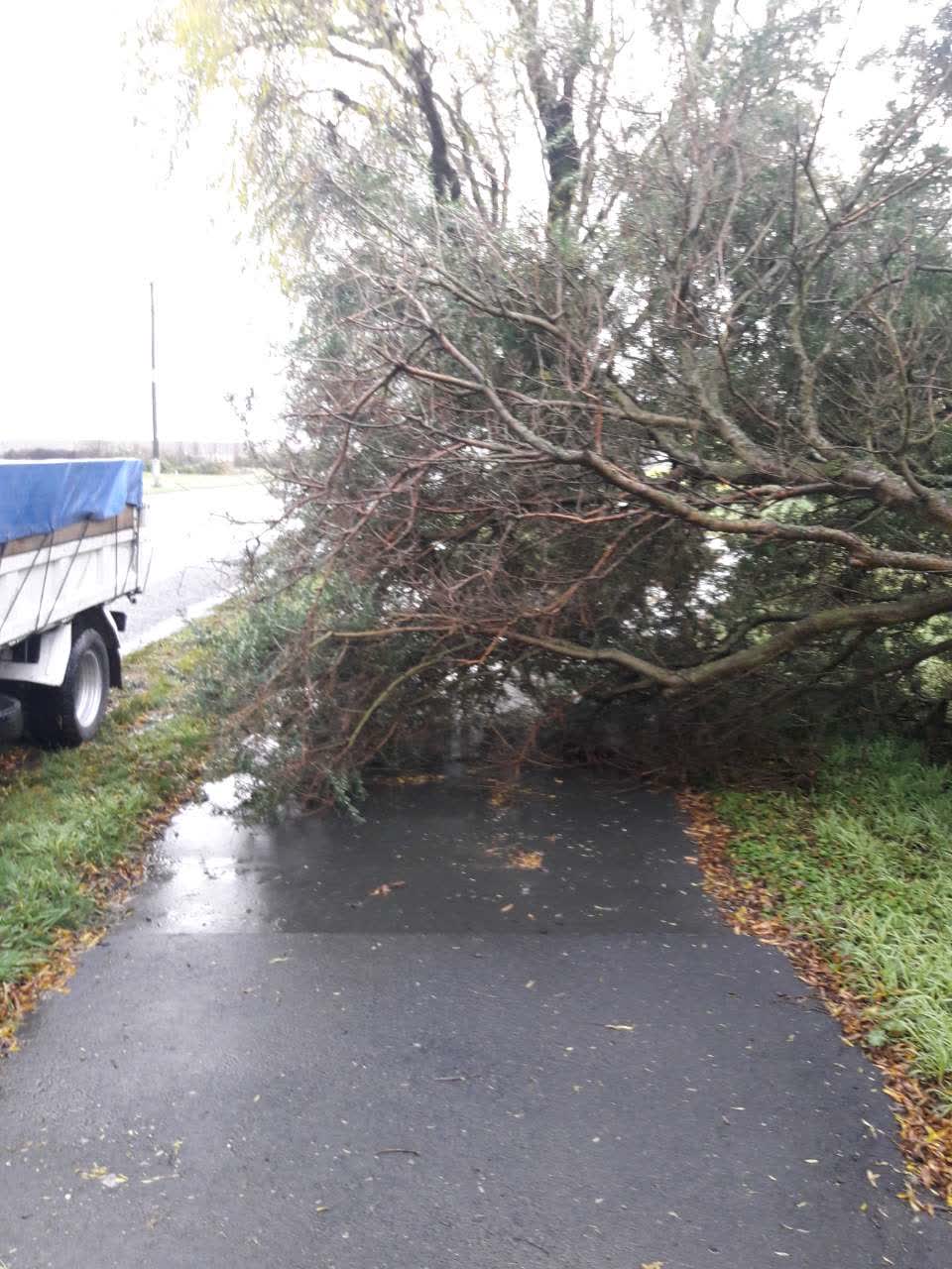 The photograph attached to this parks report