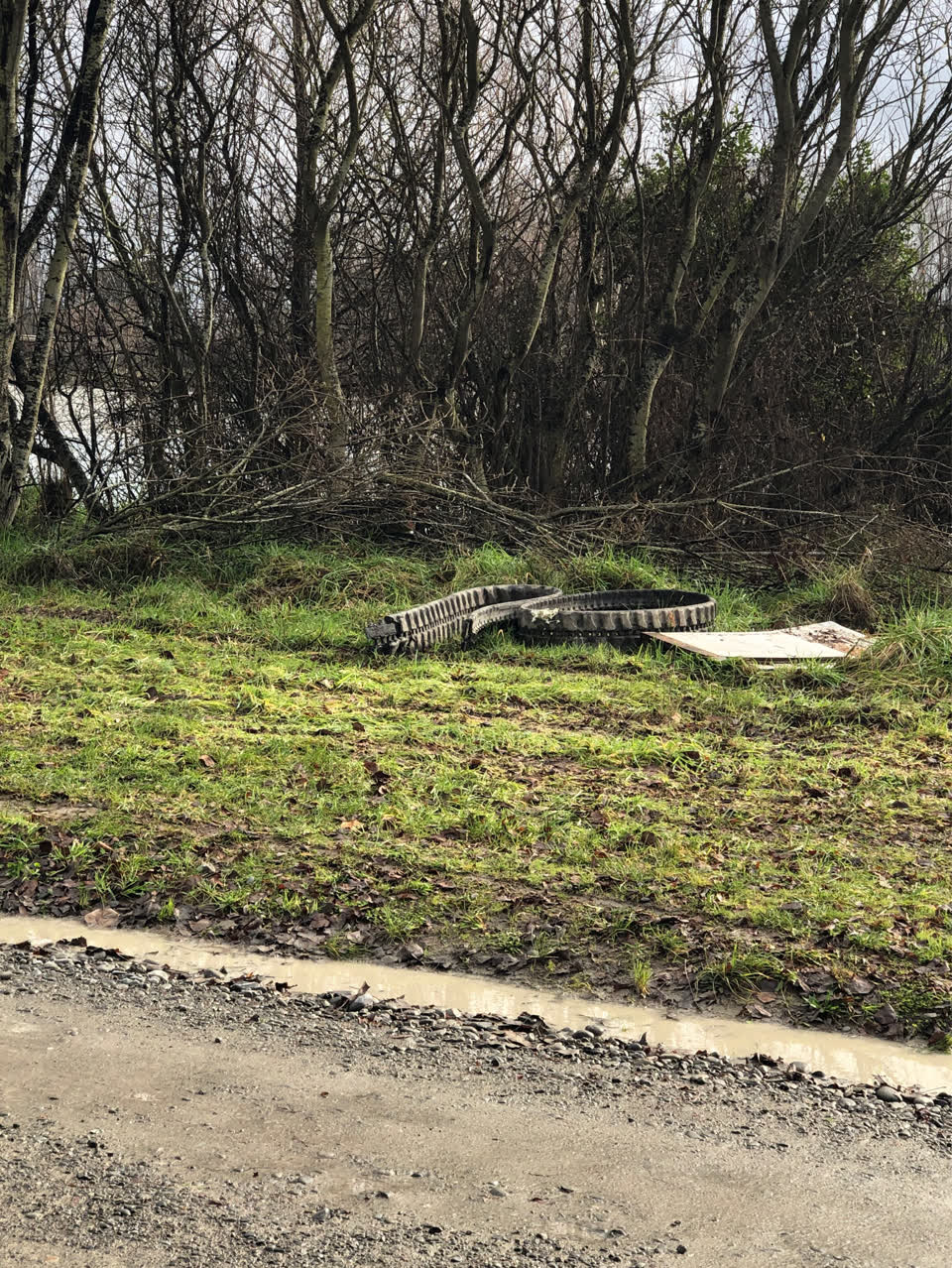 The photograph attached to this parks report