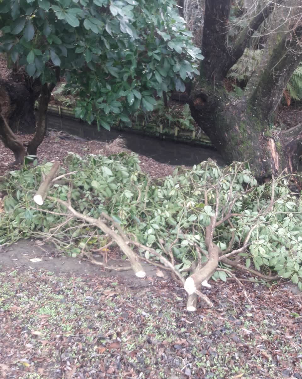 The photograph attached to this parks report