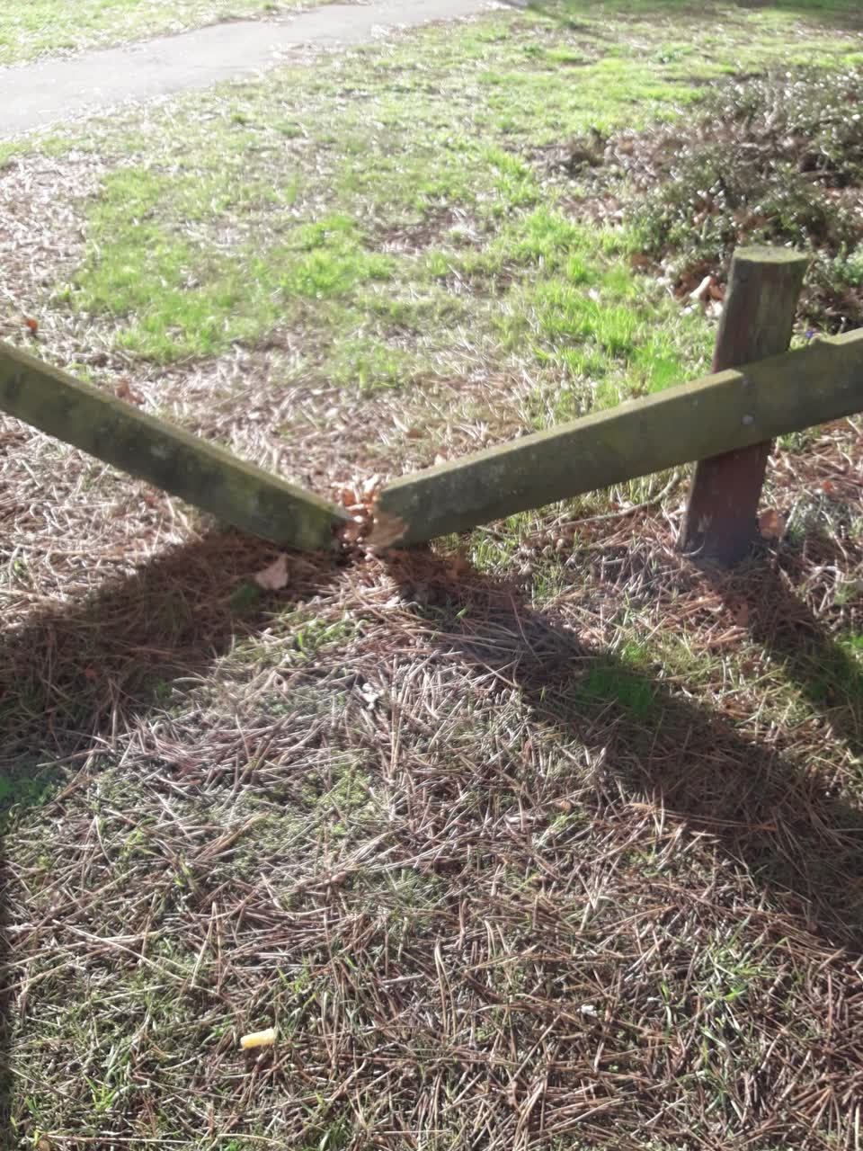 The photograph attached to this parks report