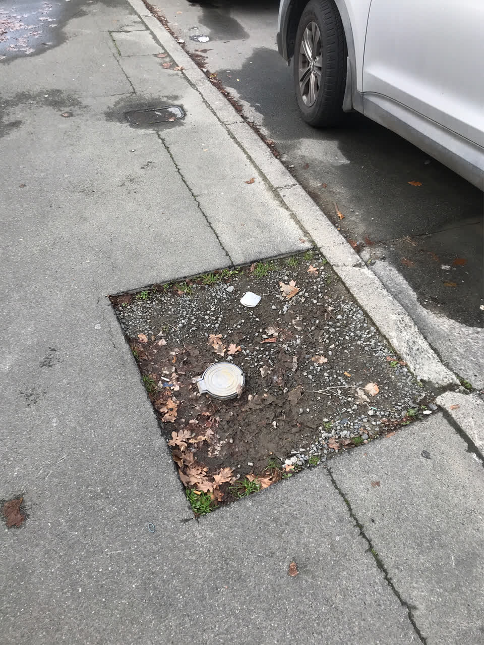 The photograph attached to this roading/streets report