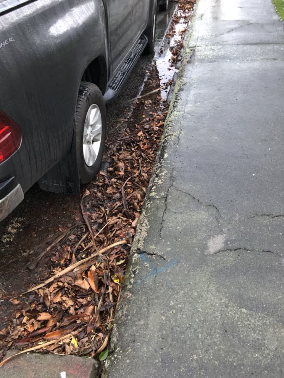 The photograph attached to this roading/streets report