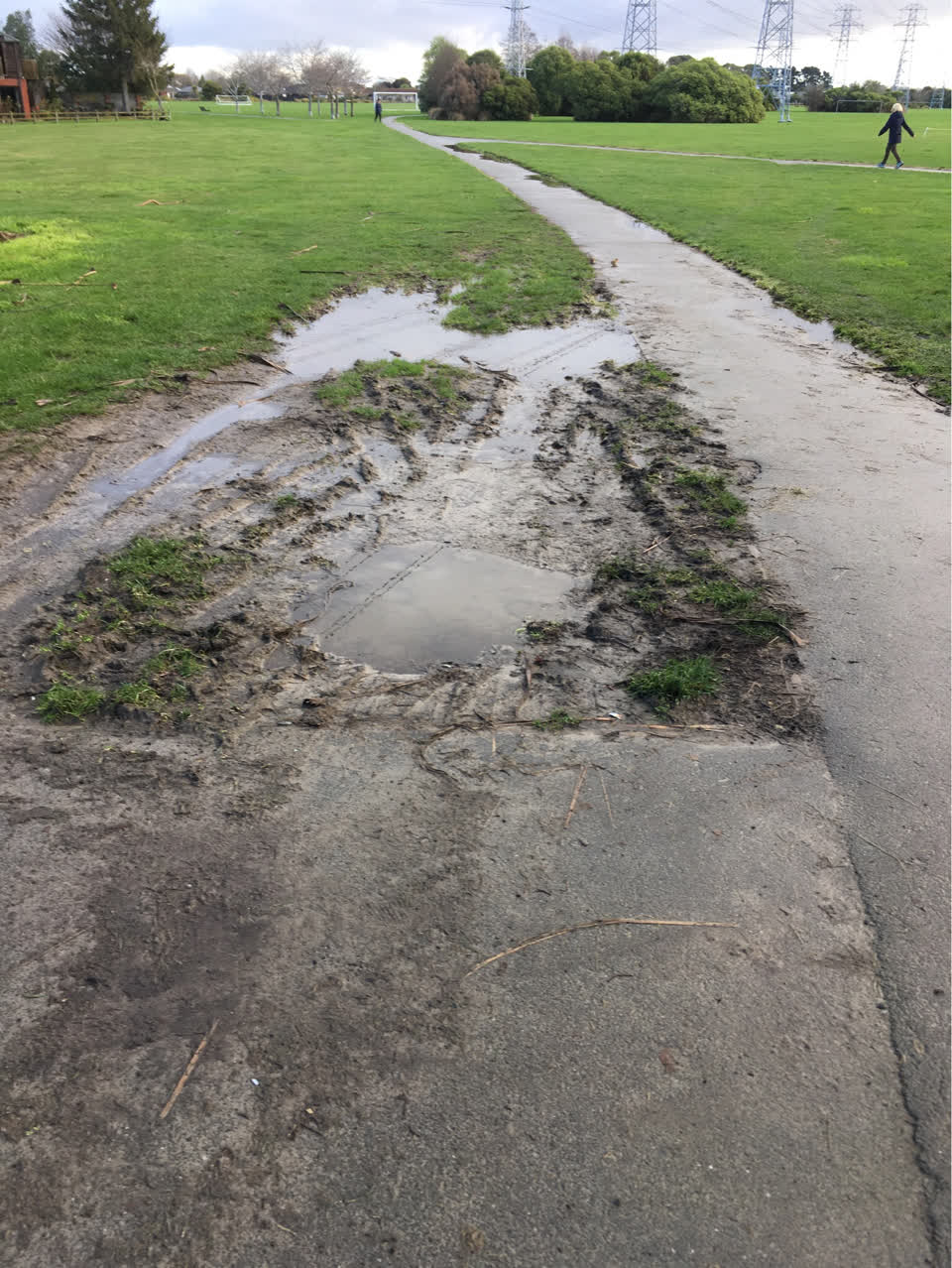 The photograph attached to this parks report