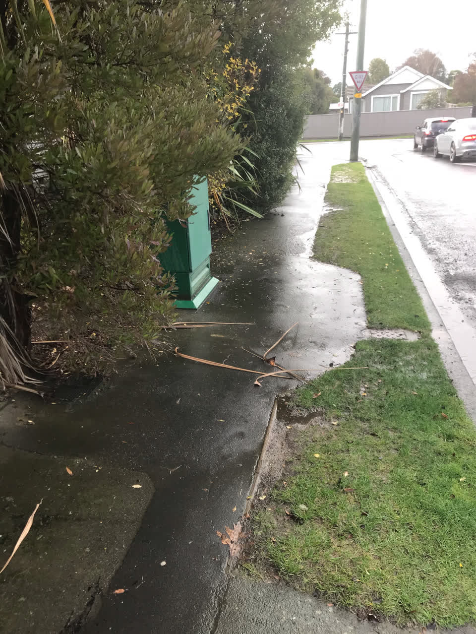 The photograph attached to this roading/streets report