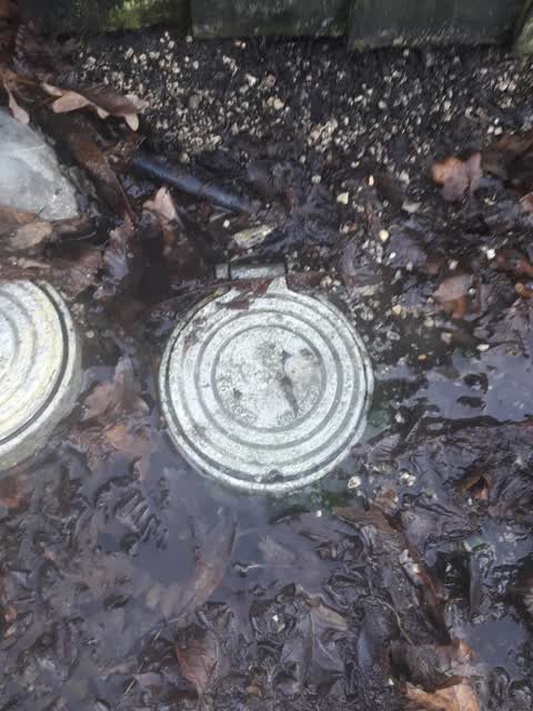 Water Supply, a report photo
