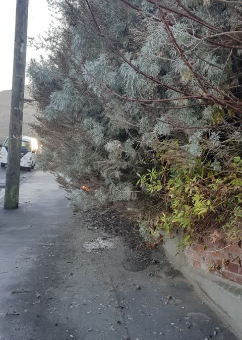 Roading/Streets, a report photo