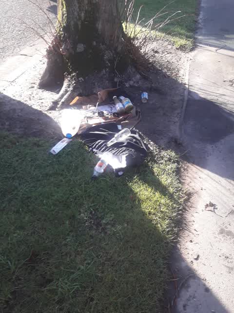 Parks, a report photo