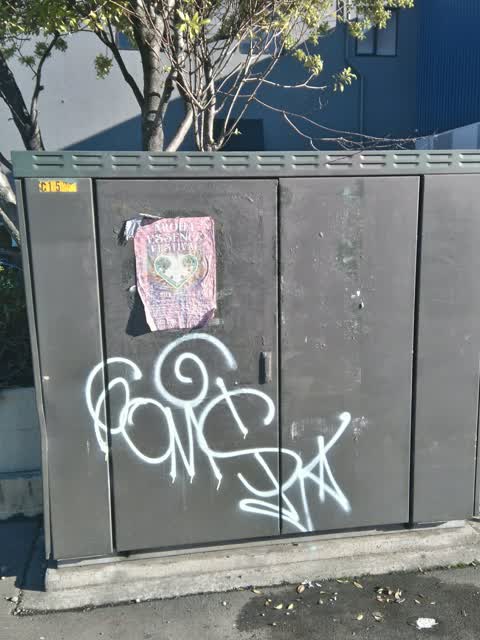 Graffiti, a report photo