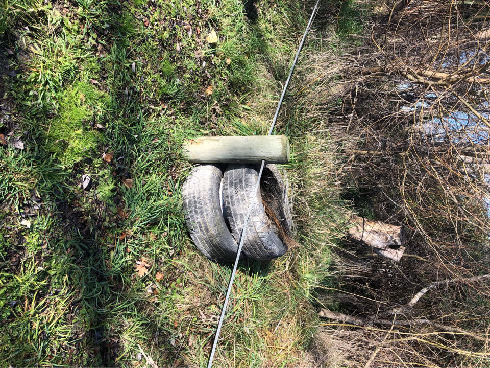 The photograph attached to this parks report