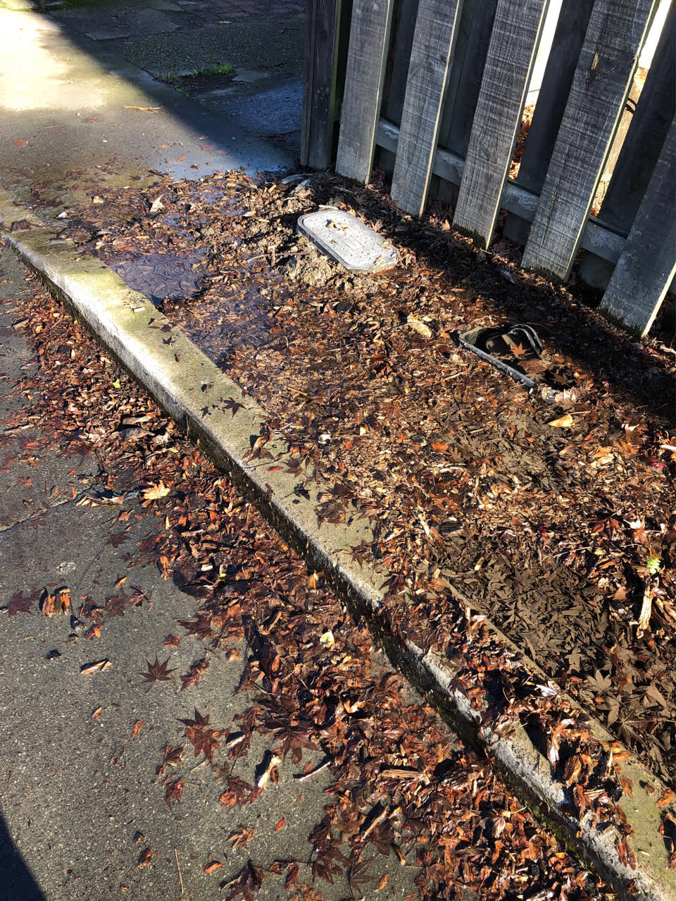 The photograph attached to this water supply report