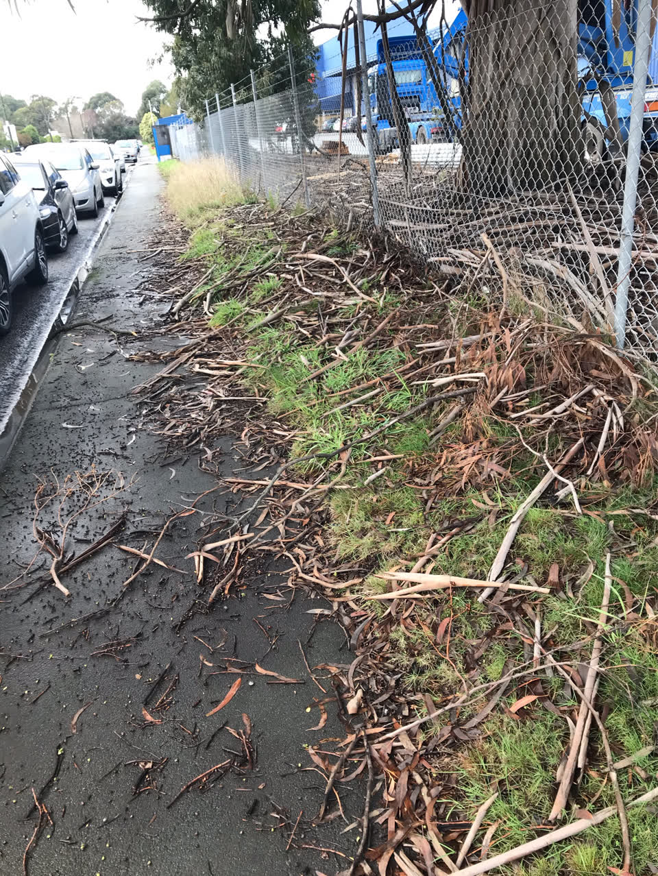 The photograph attached to this roading/streets report