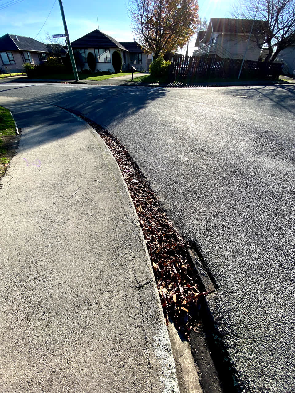 The photograph attached to this roading/streets report