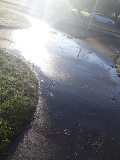 Wastewater/Stormwater, a report photo
