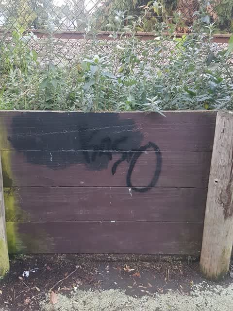 Graffiti, a report photo