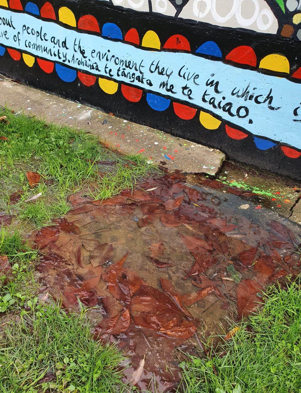 The photograph attached to this parks report