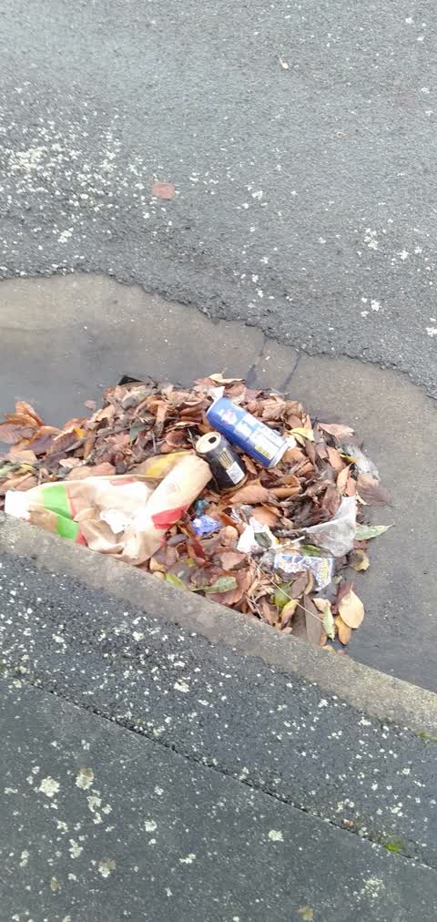 Wastewater/Stormwater, a report photo