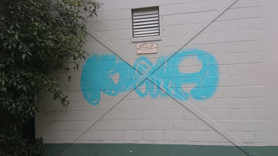 The photograph attached to this graffiti report