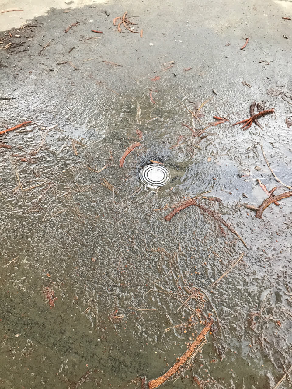 The photograph attached to this flooding report