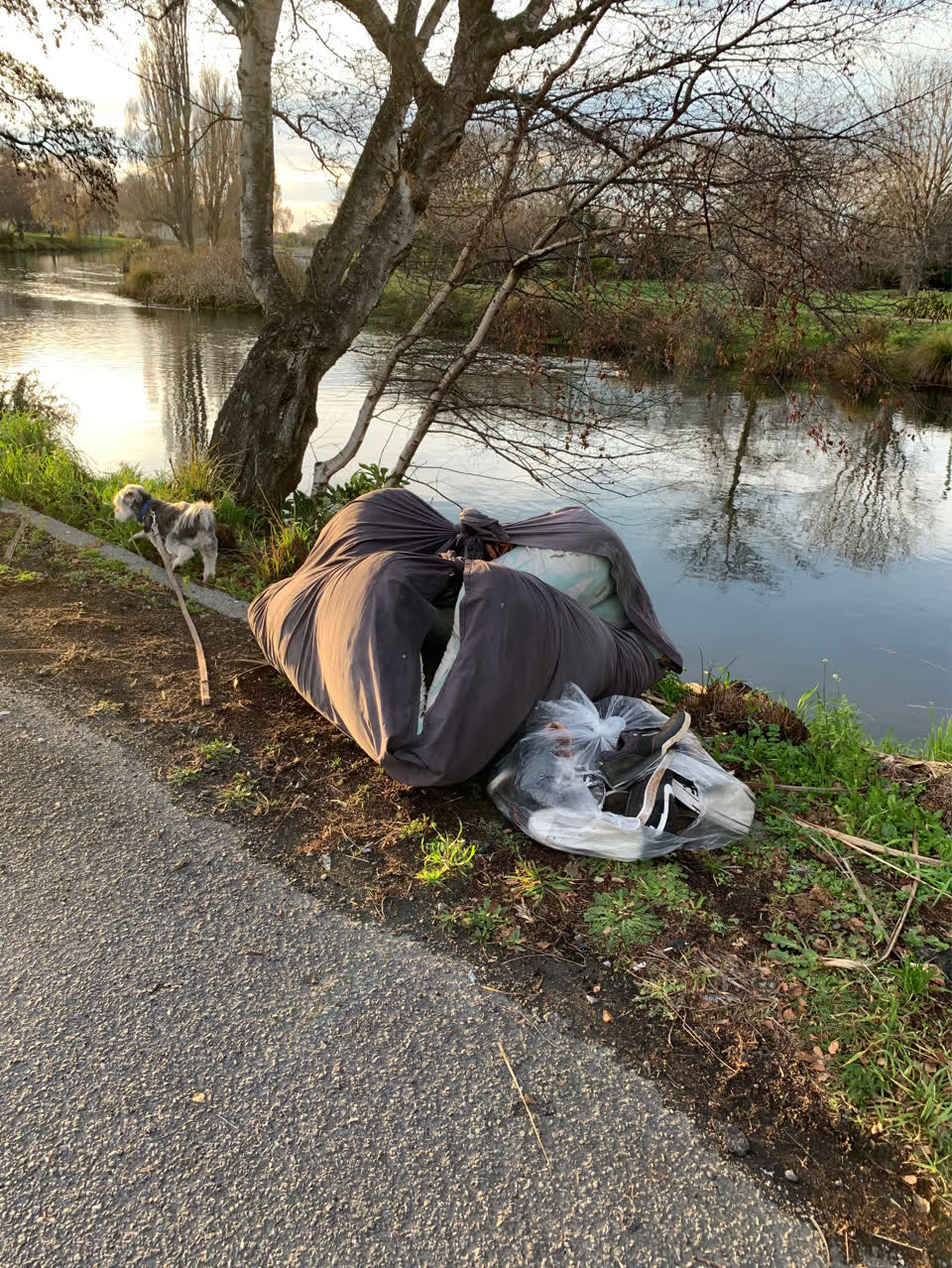 The photograph attached to this rubbish/recycling report