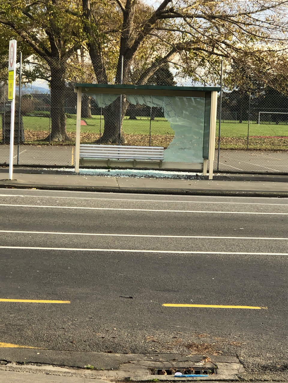 The photograph attached to this parks report