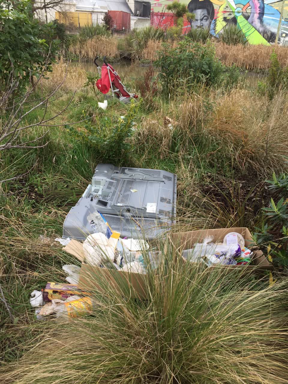 The photograph attached to this parks report