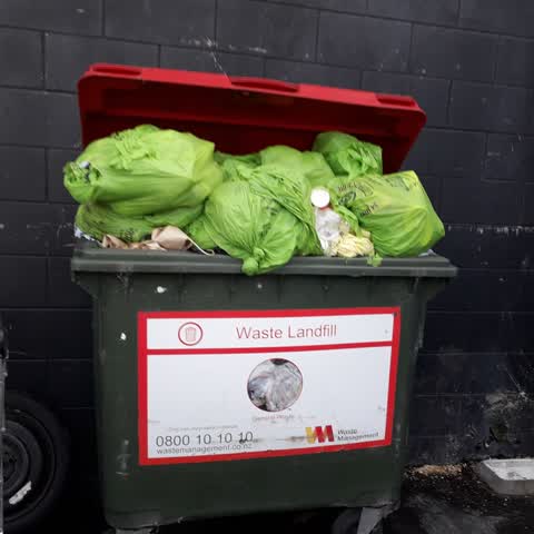 Rubbish/Recycling, a report photo