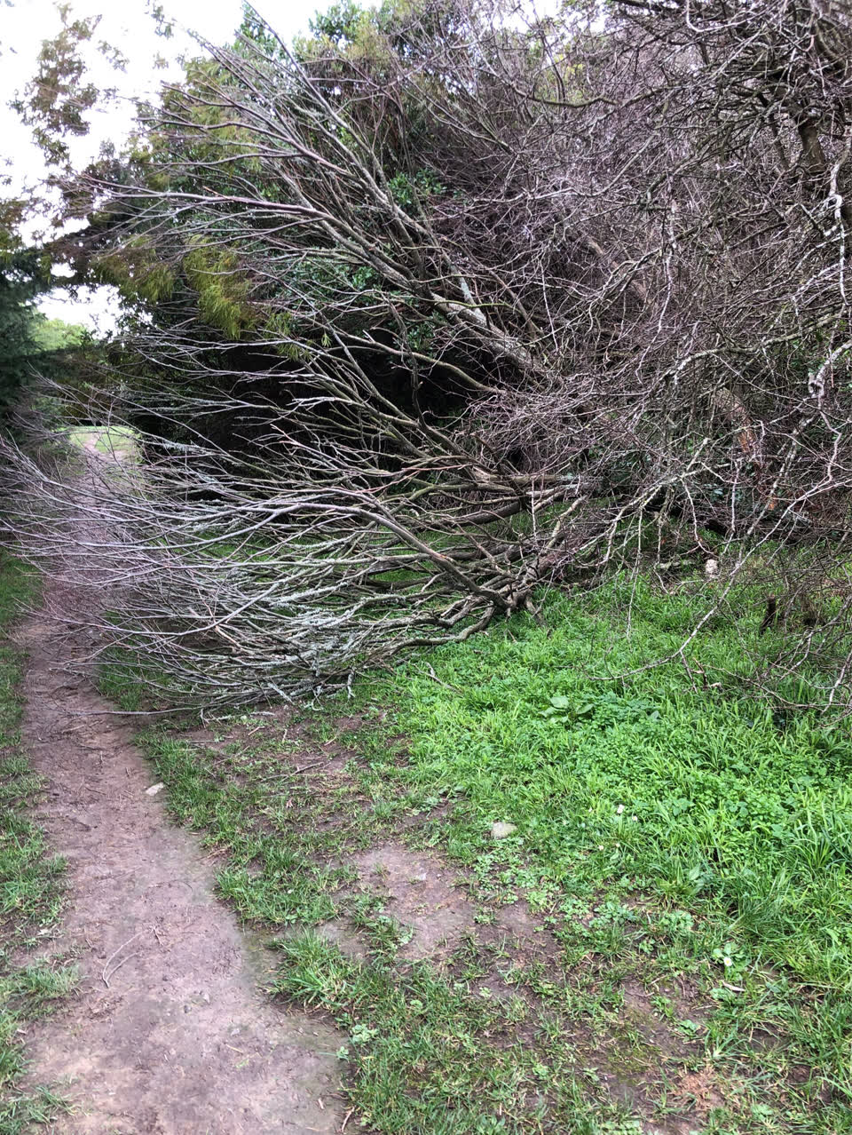 The photograph attached to this parks report