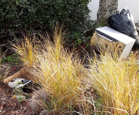 Rubbish/Recycling, a report photo