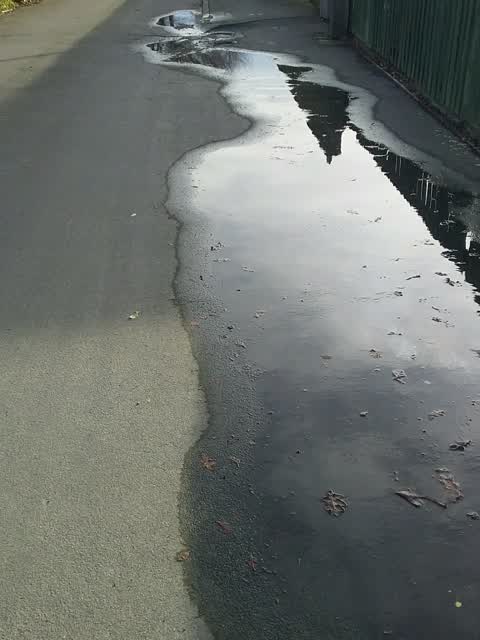 Water Supply, a report photo