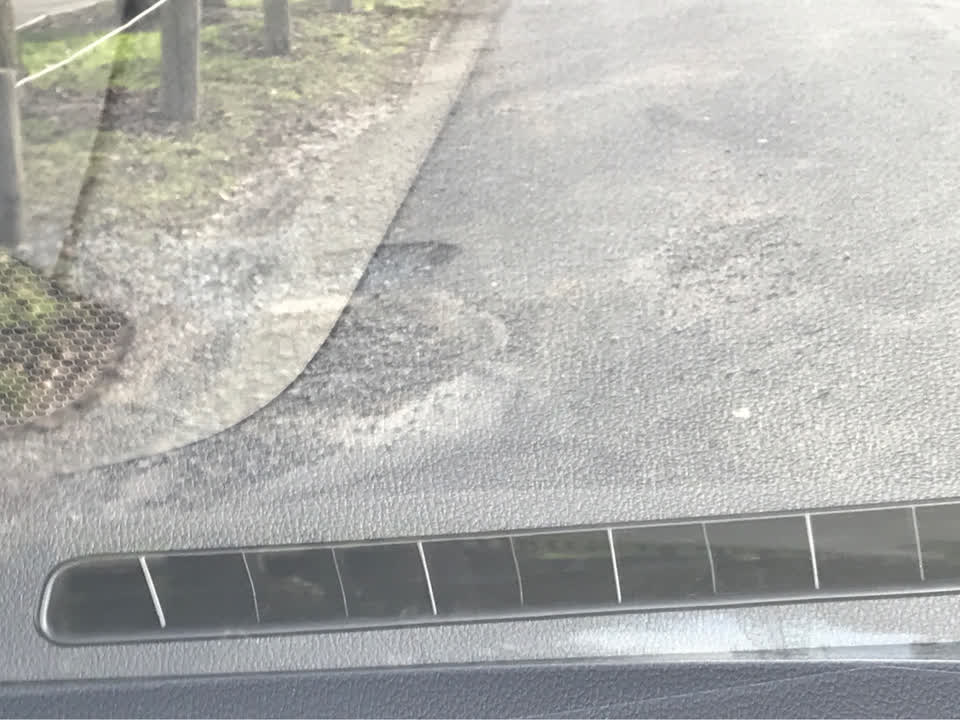 The photograph attached to this parks report
