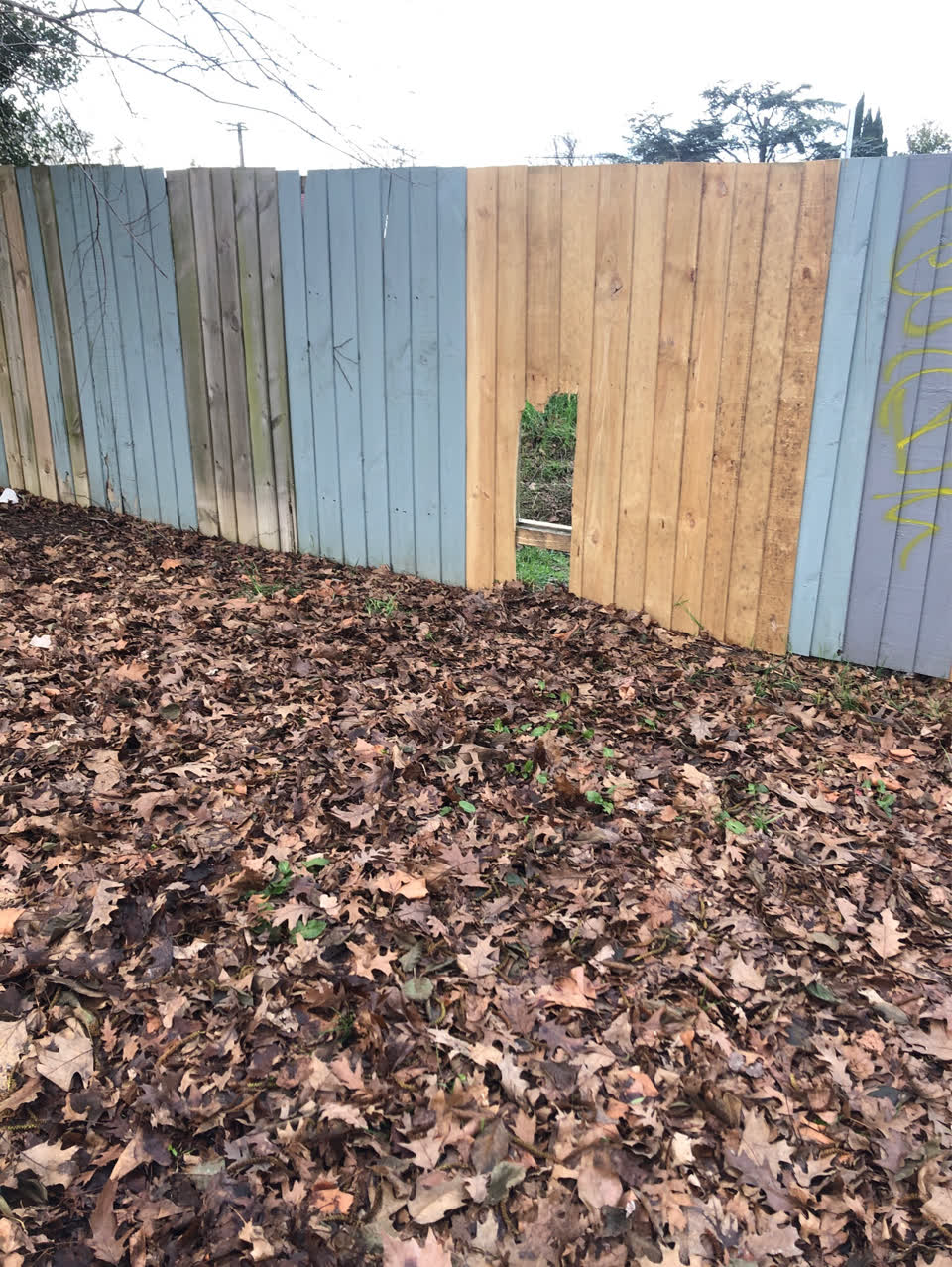 The photograph attached to this parks report