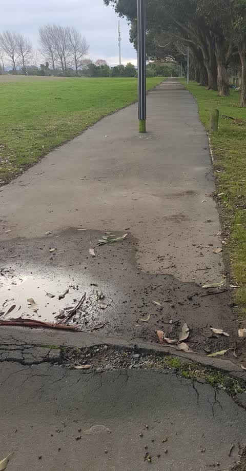 Parks, a report photo
