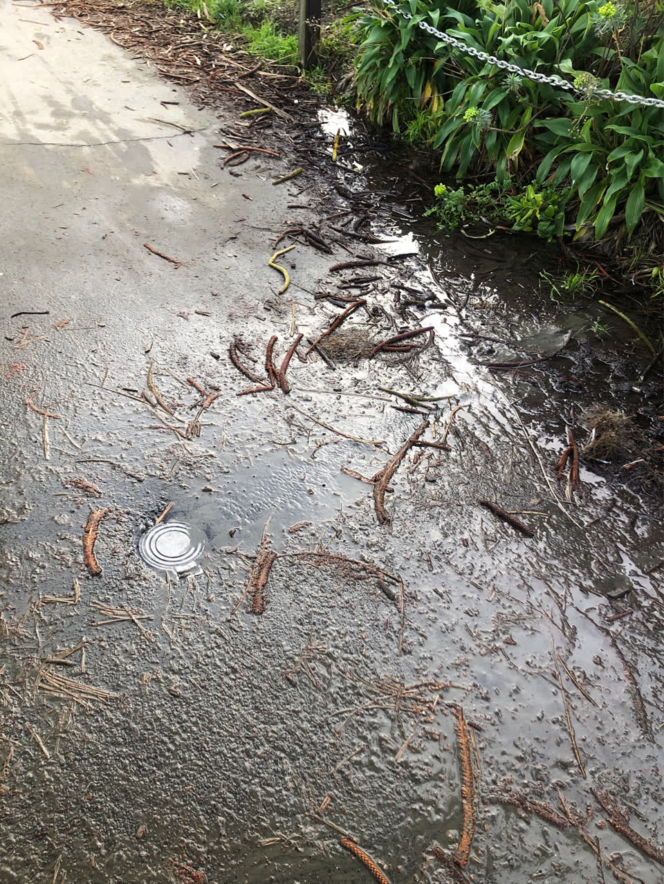 The photograph attached to this water supply report