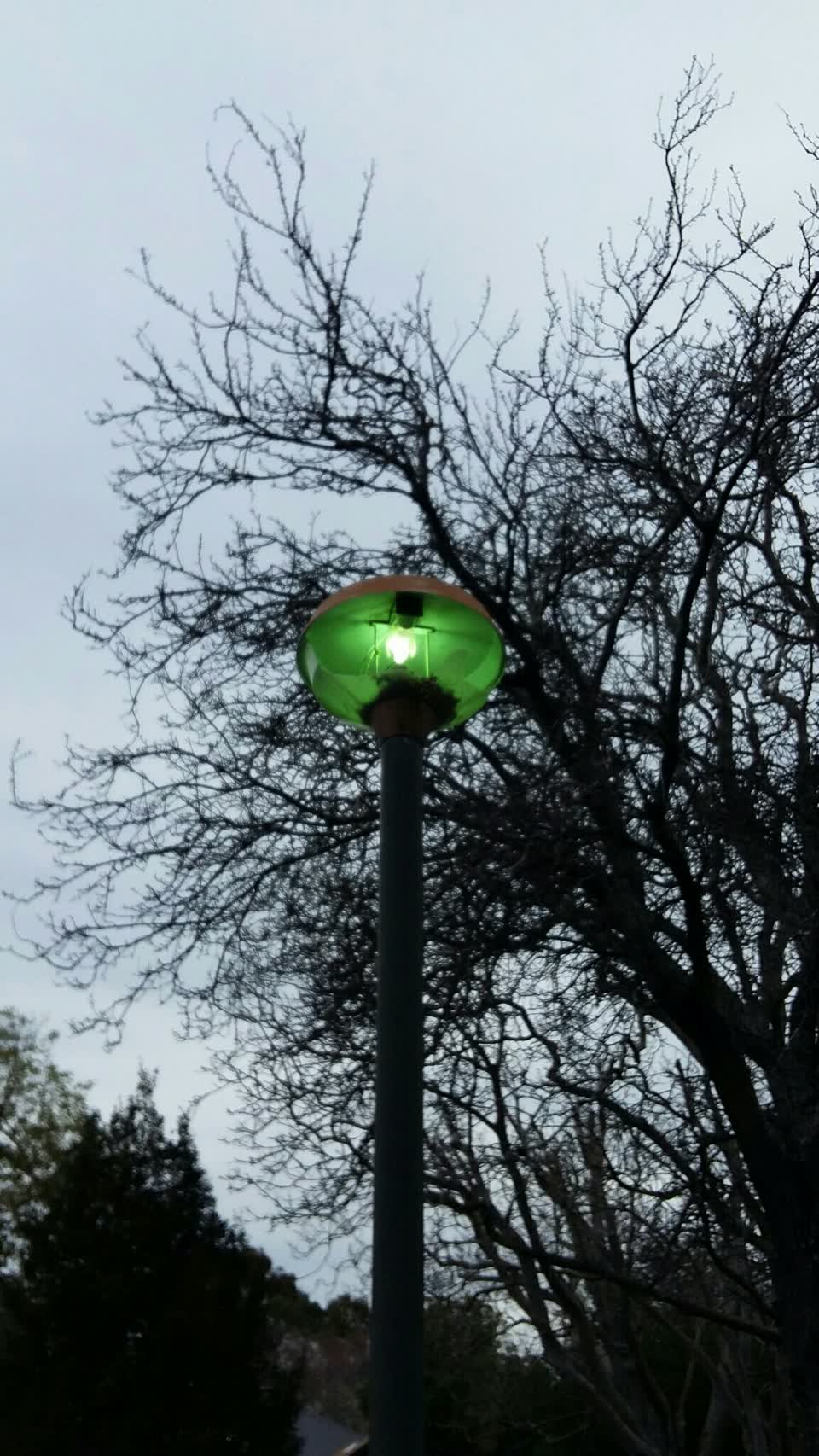 The photograph attached to this parks report