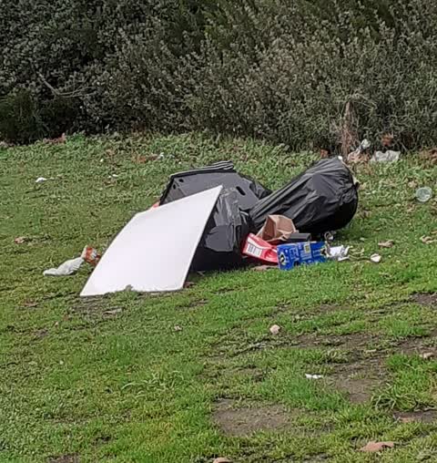 Rubbish/Recycling, a report photo