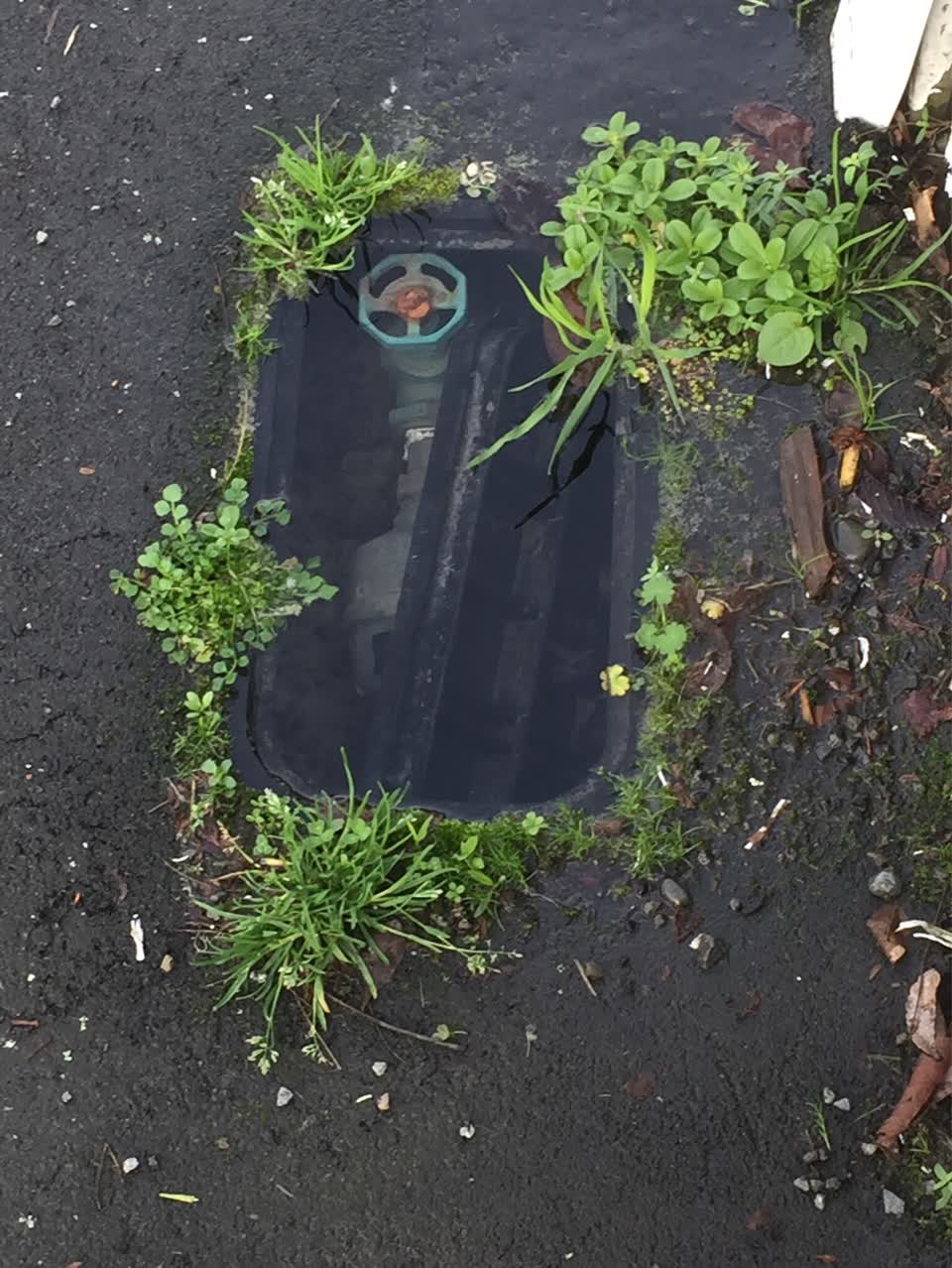 The photograph attached to this water supply report