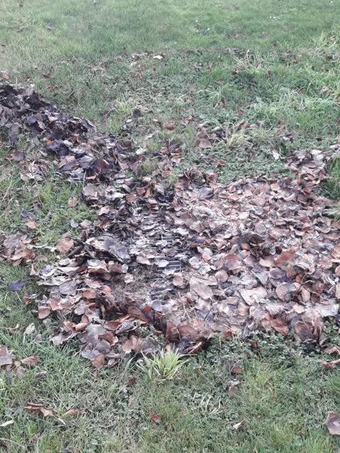 Wastewater/Stormwater, a report photo